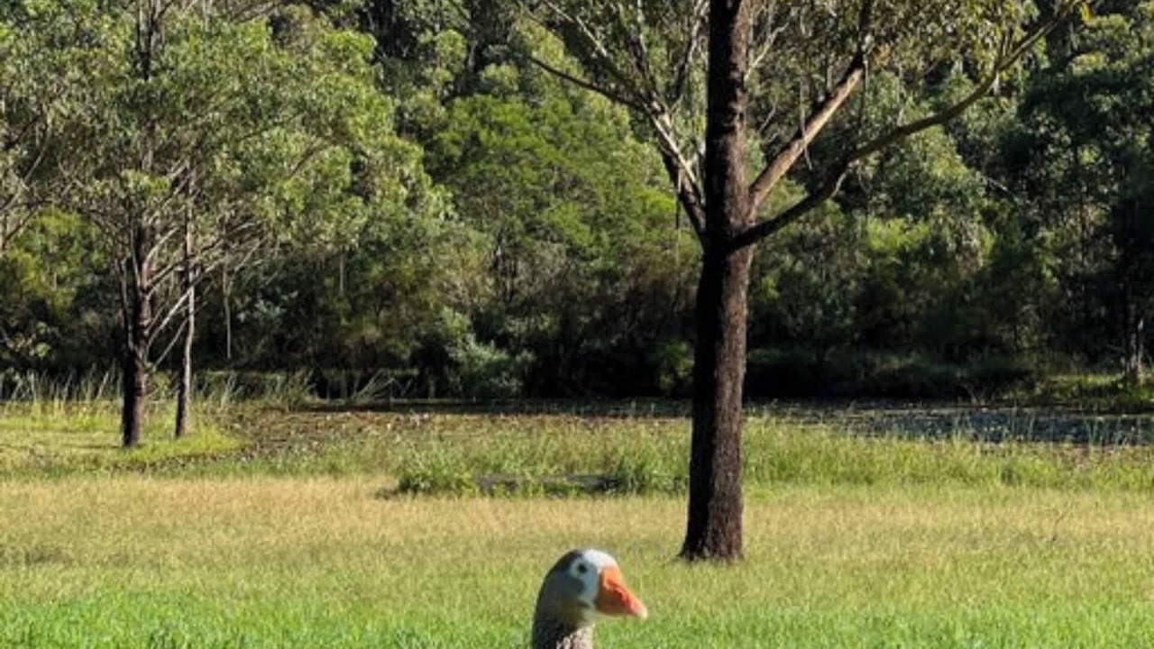 Photo of Others in Termeil
