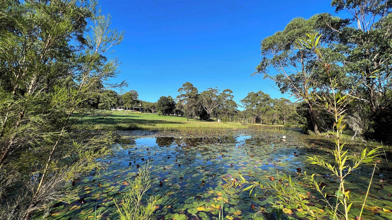 Photo of Others in Termeil