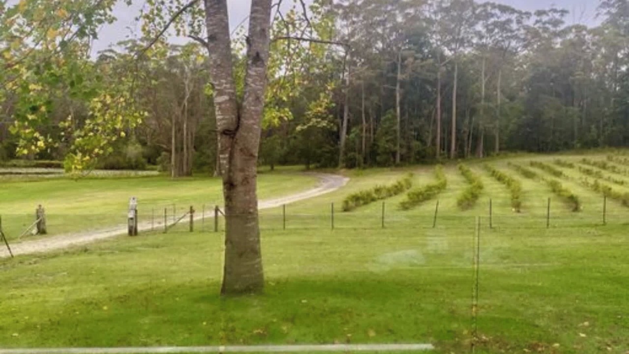 Photo of Outdoor in Termeil