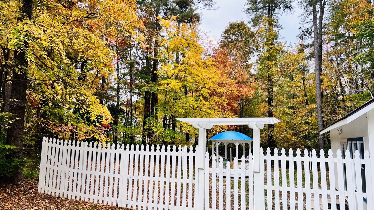Photo of Outdoor in Chapel Hill