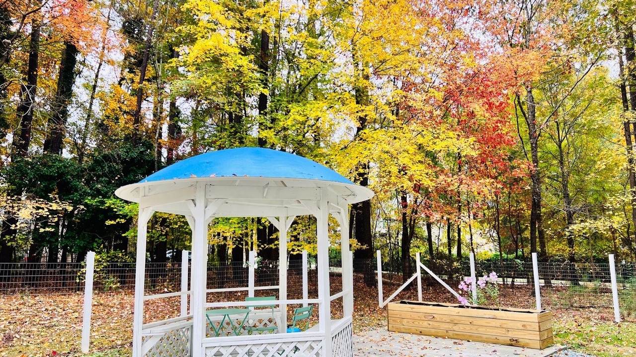 Photo of Outdoor in Chapel Hill