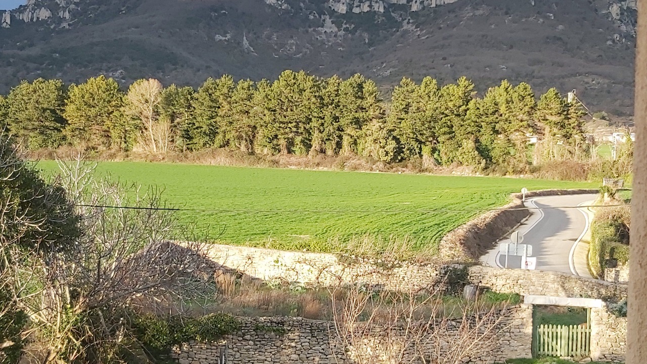 Photo of Others in Amillano