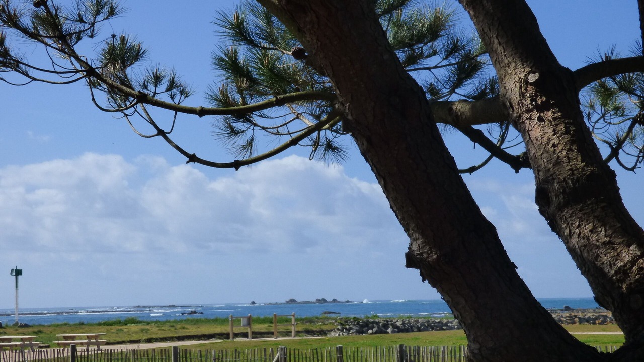 Photo of Others in Saint-Guenole