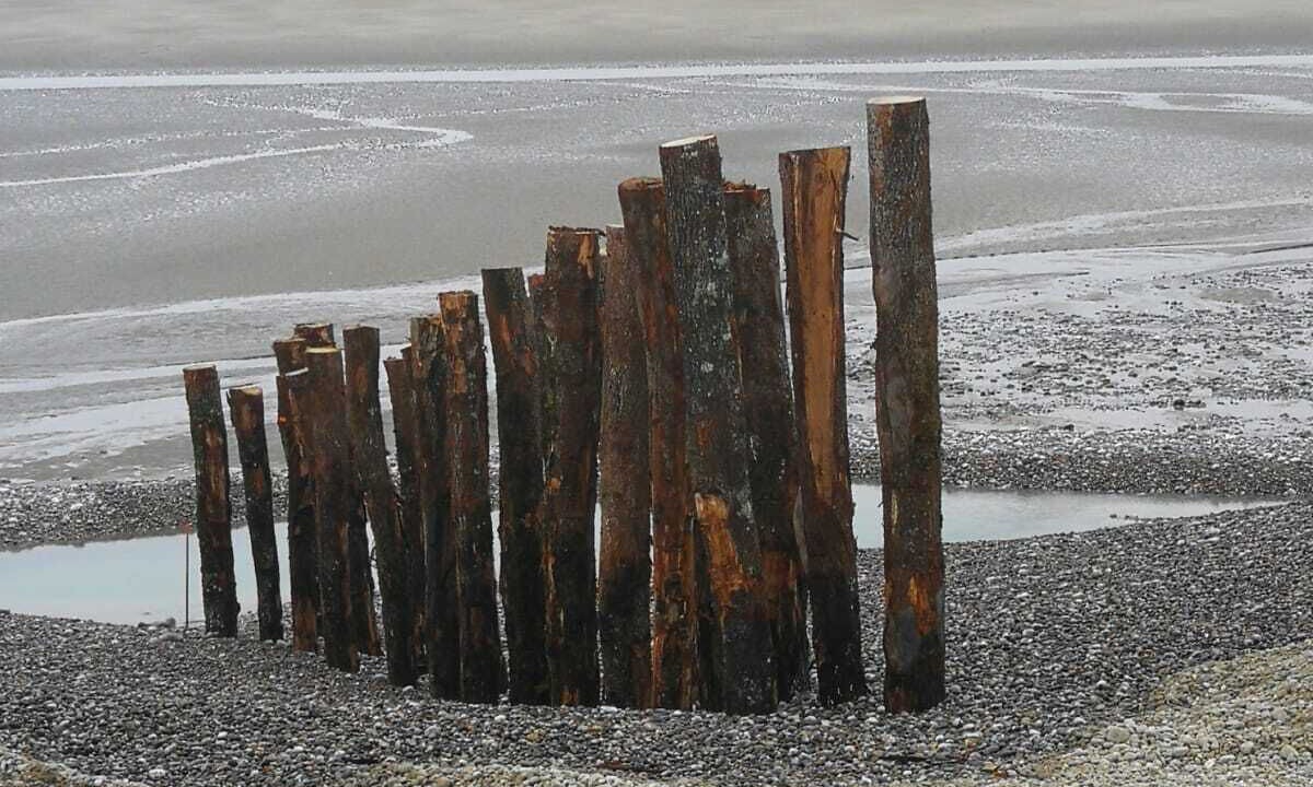 Photo of Others in Cayeux-sur-Mer