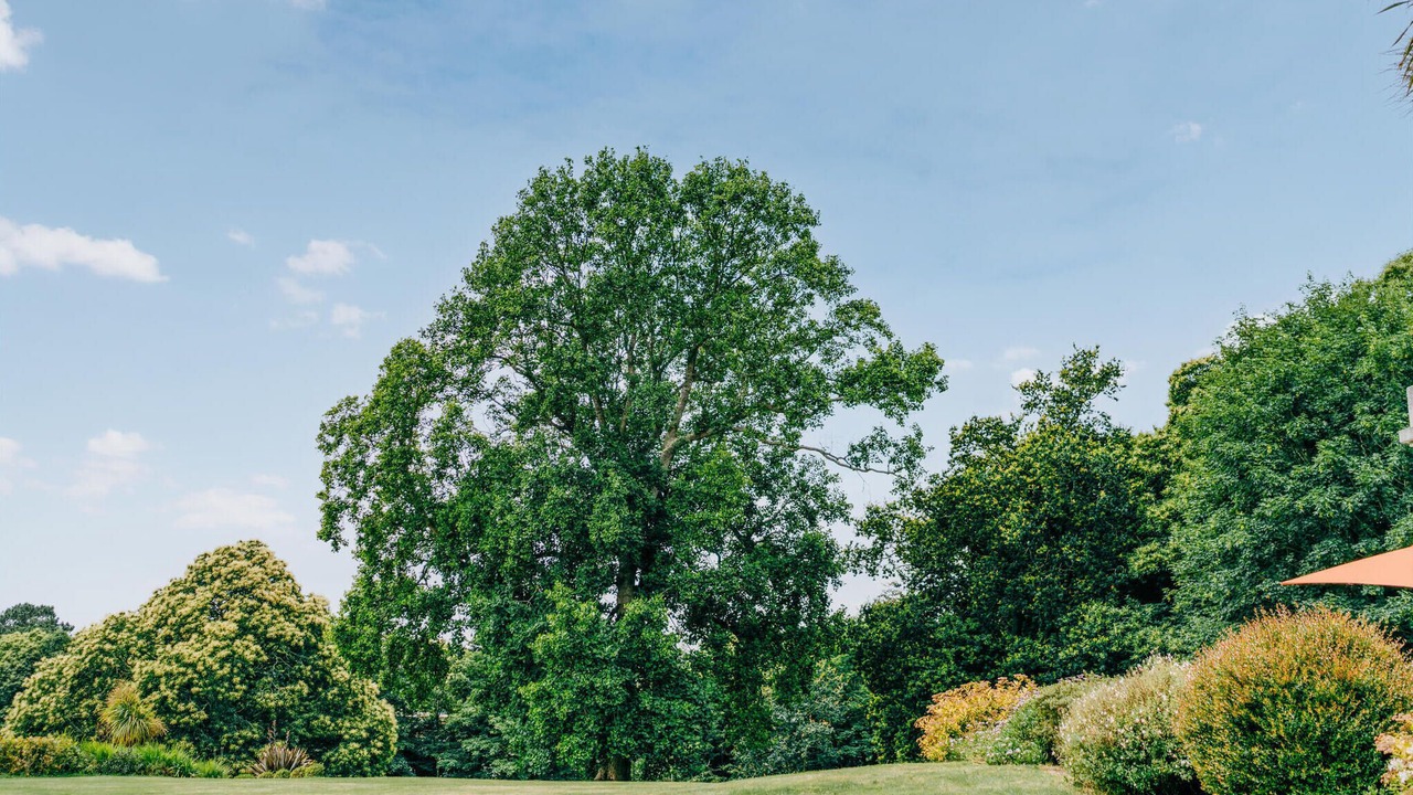 Photo of Others in Concarneau