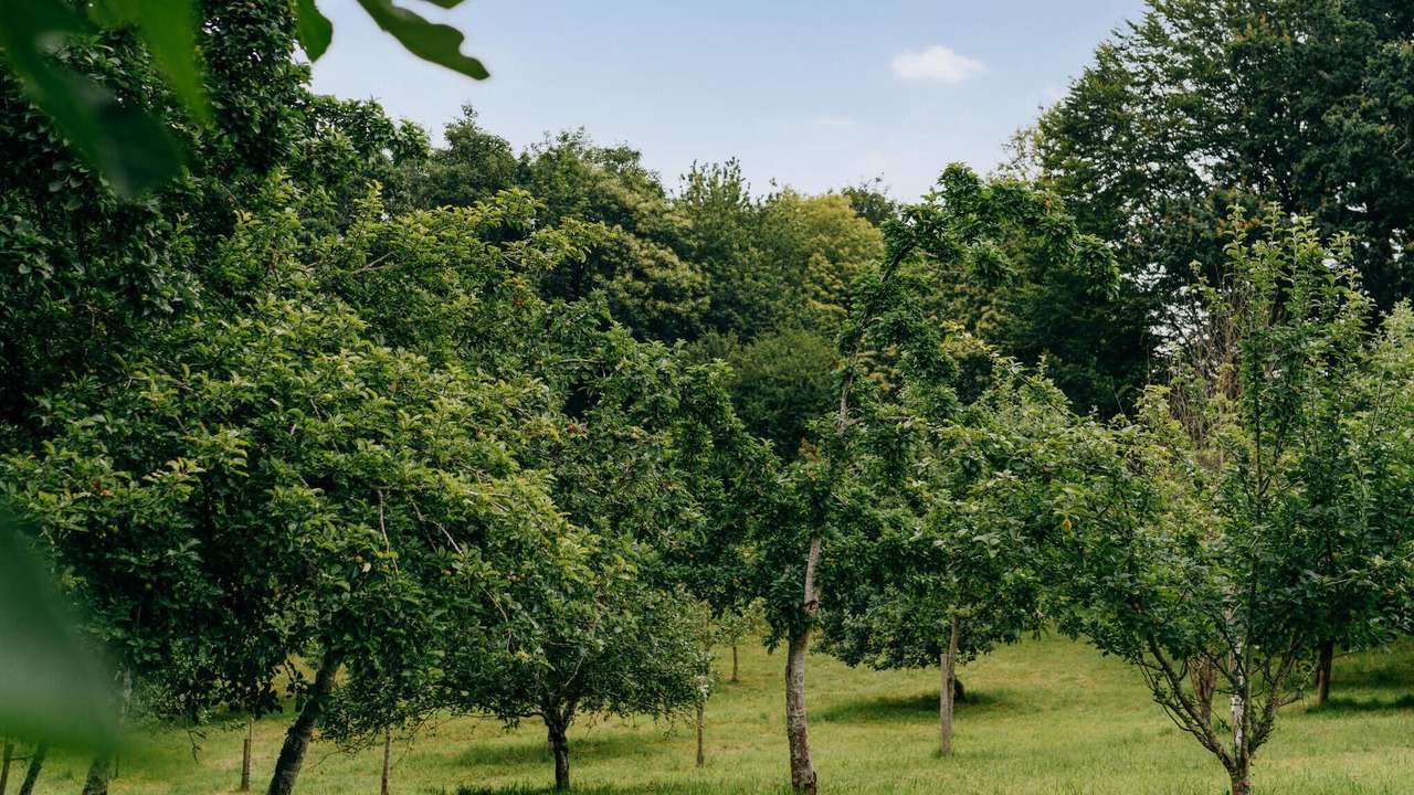 Photo of Others in Concarneau