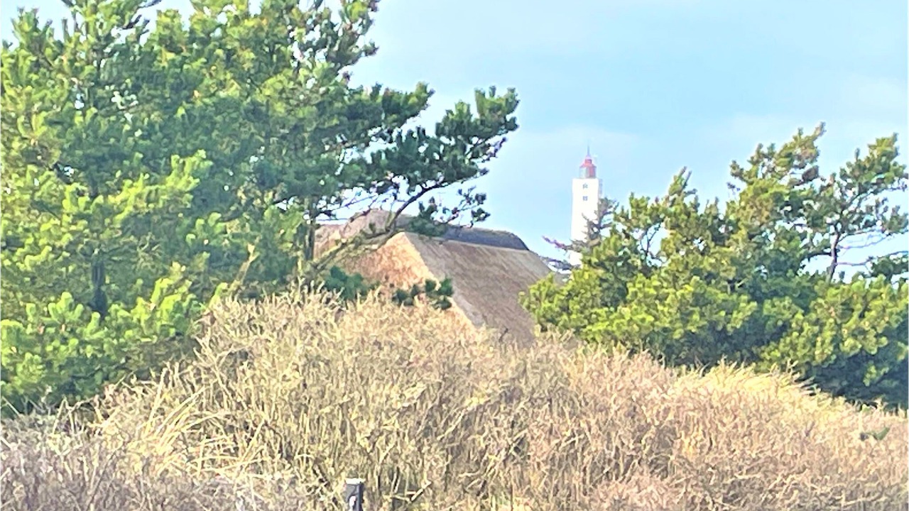Photo of Others in Blavand Strand