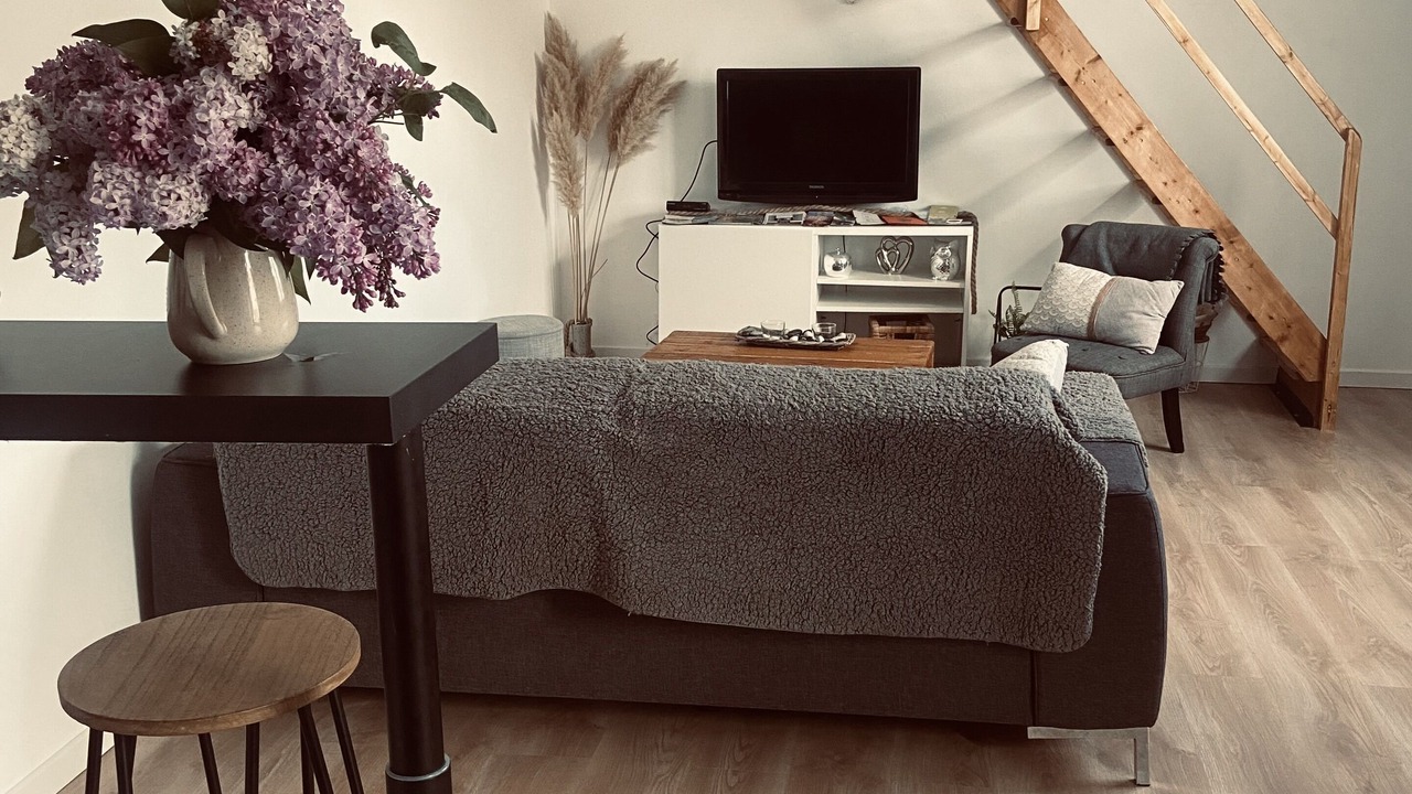 Photo of Livingroom in Soindres