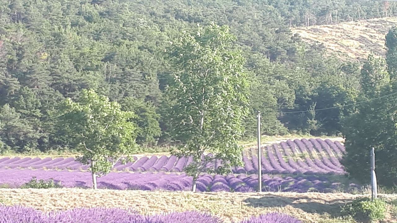 Photo of Outdoor in Montjoux