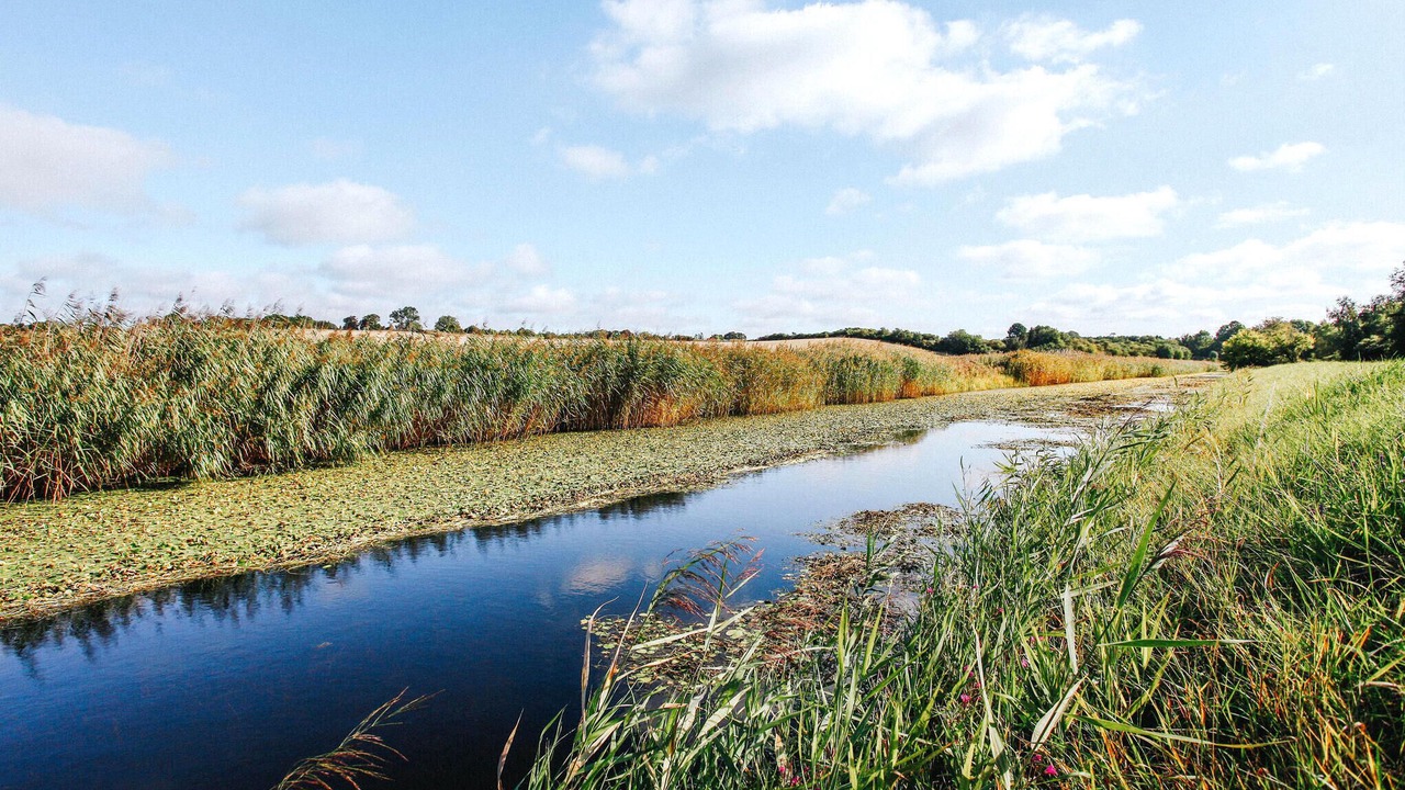 Photo of Others in Grevinge