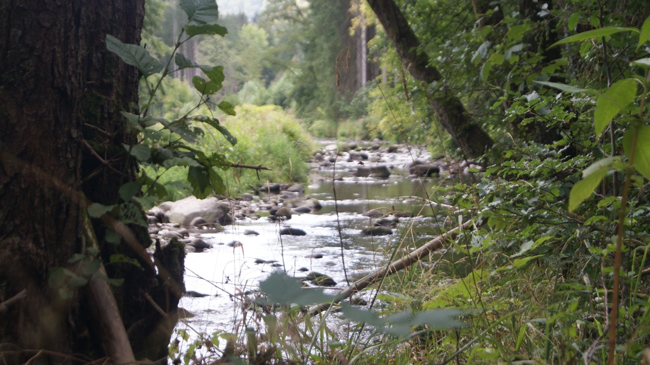 Photo of Outdoor in Aumontzey