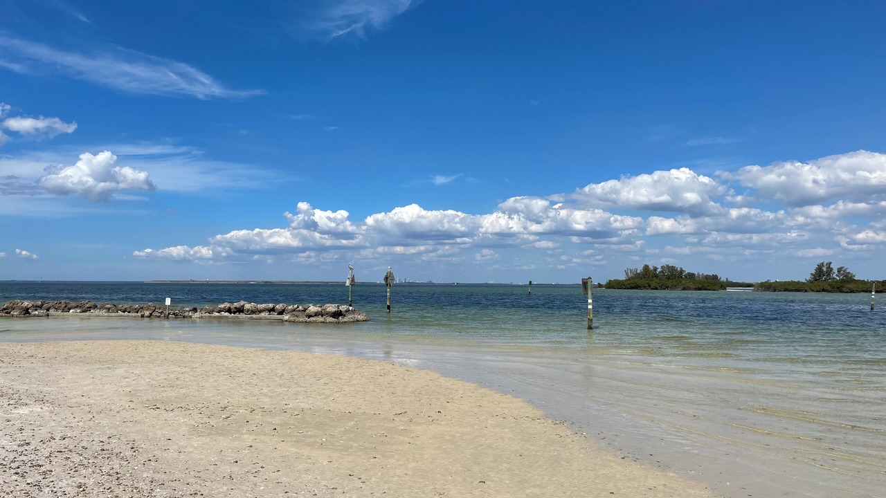 Photo of Others in Apollo Beach