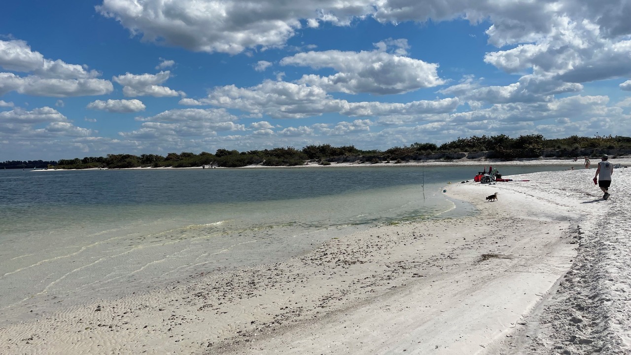 Photo of Others in Apollo Beach