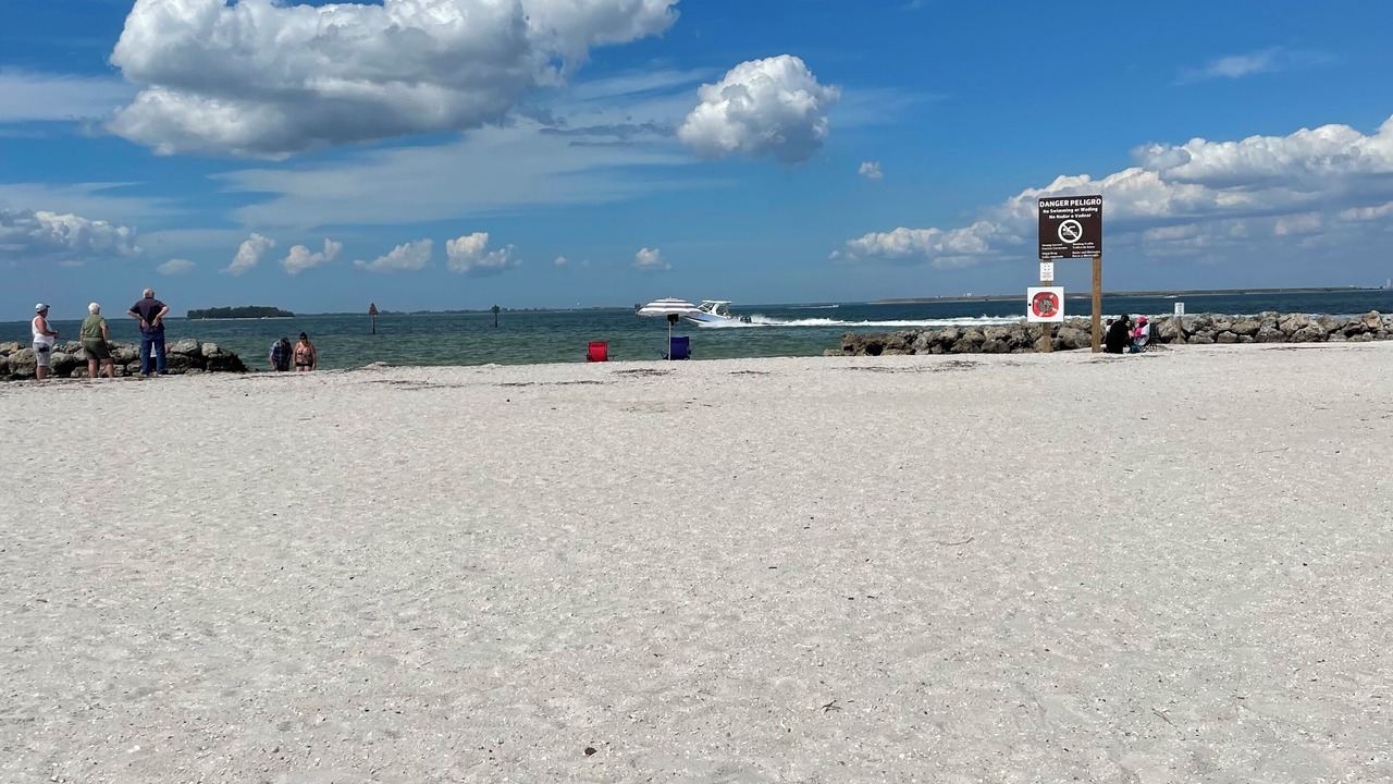 Photo of Others in Apollo Beach