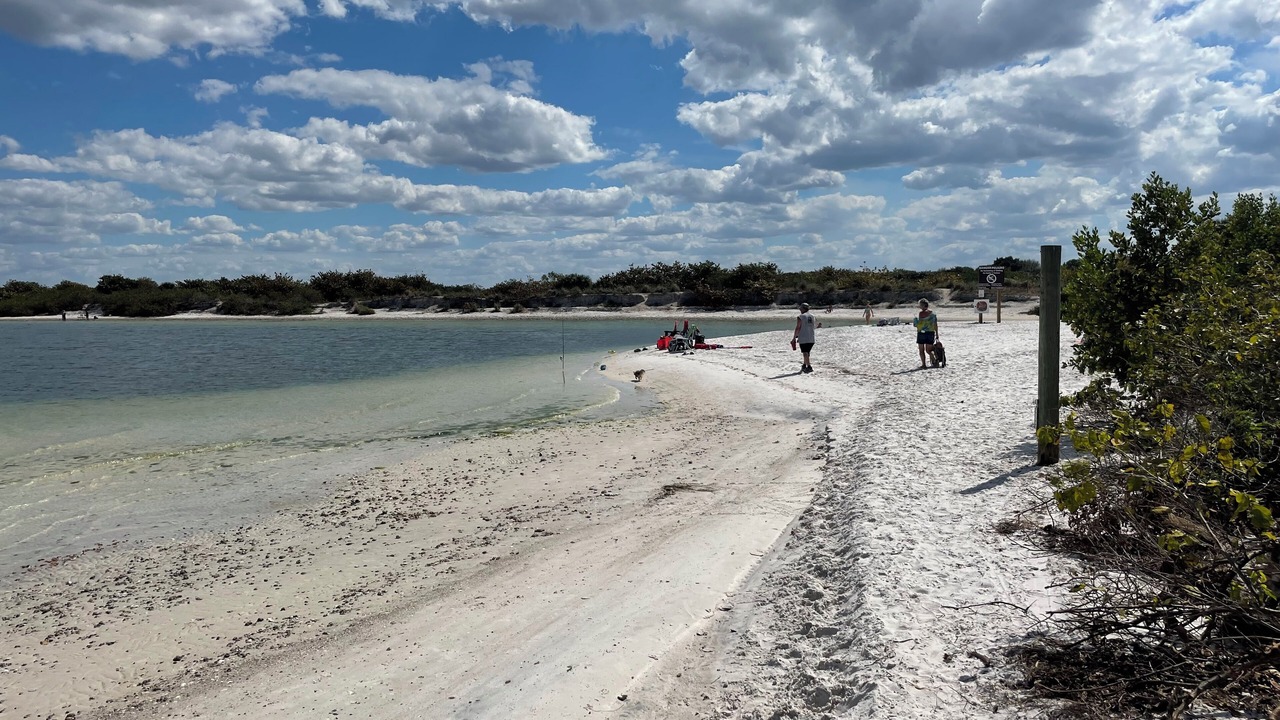 Photo of Others in Apollo Beach