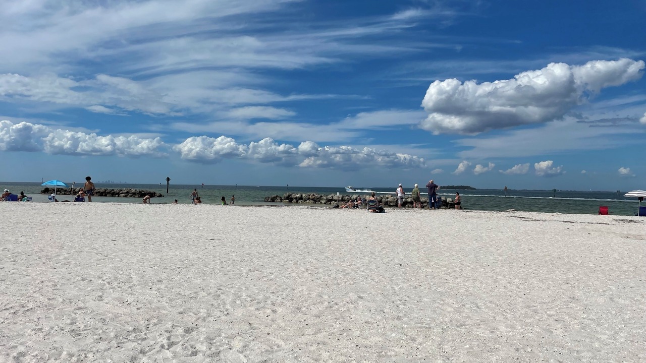 Photo of Others in Apollo Beach