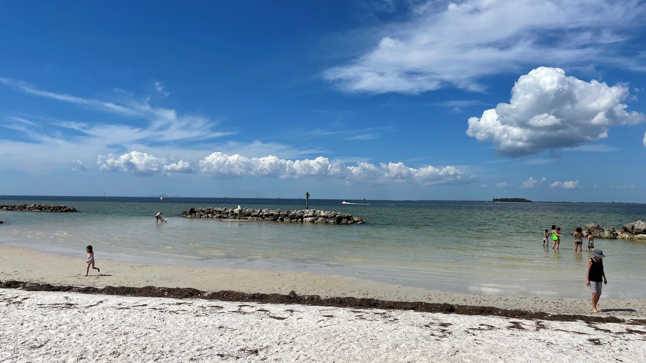 Photo of Others in Apollo Beach