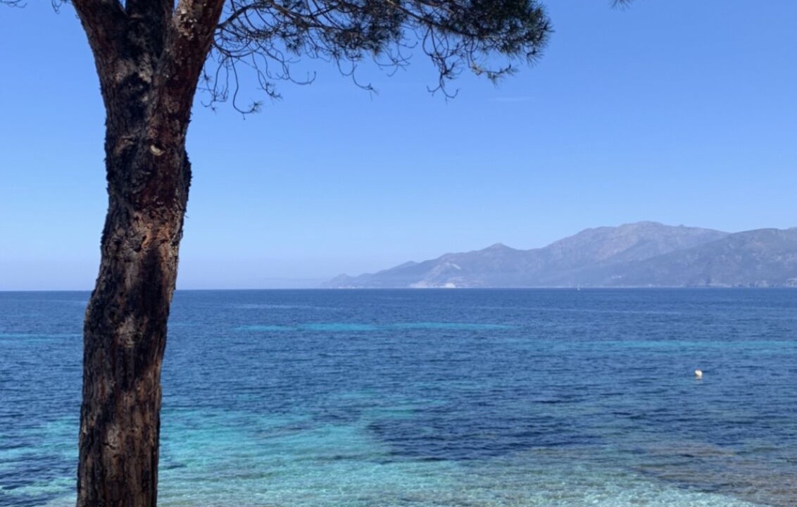 Photo of Outdoor in Saint-Florent