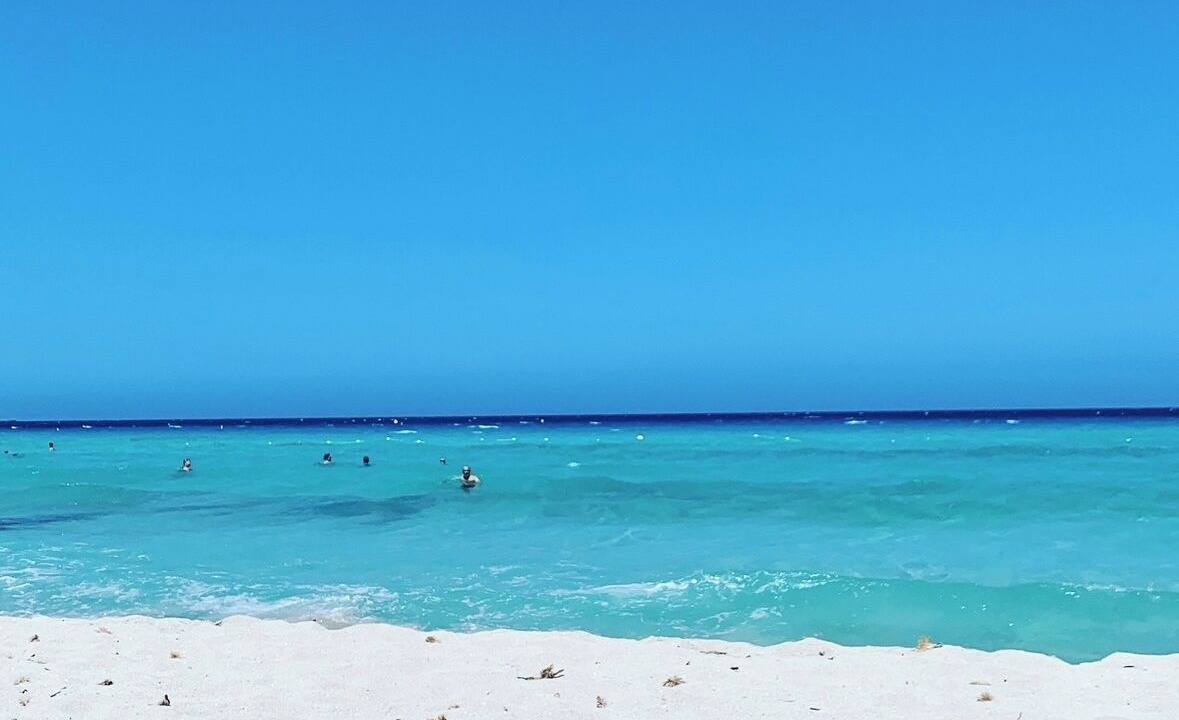 Photo of Others in Saint-Florent