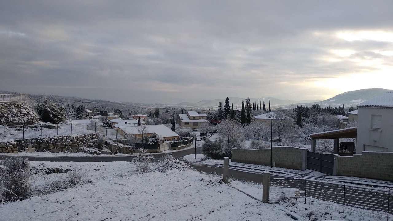 Photo of Others in Alissas