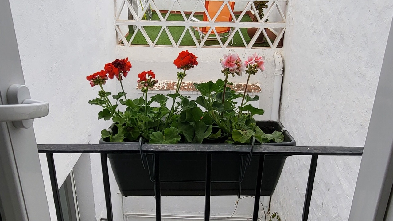 Photo of Outdoor in San Jorge