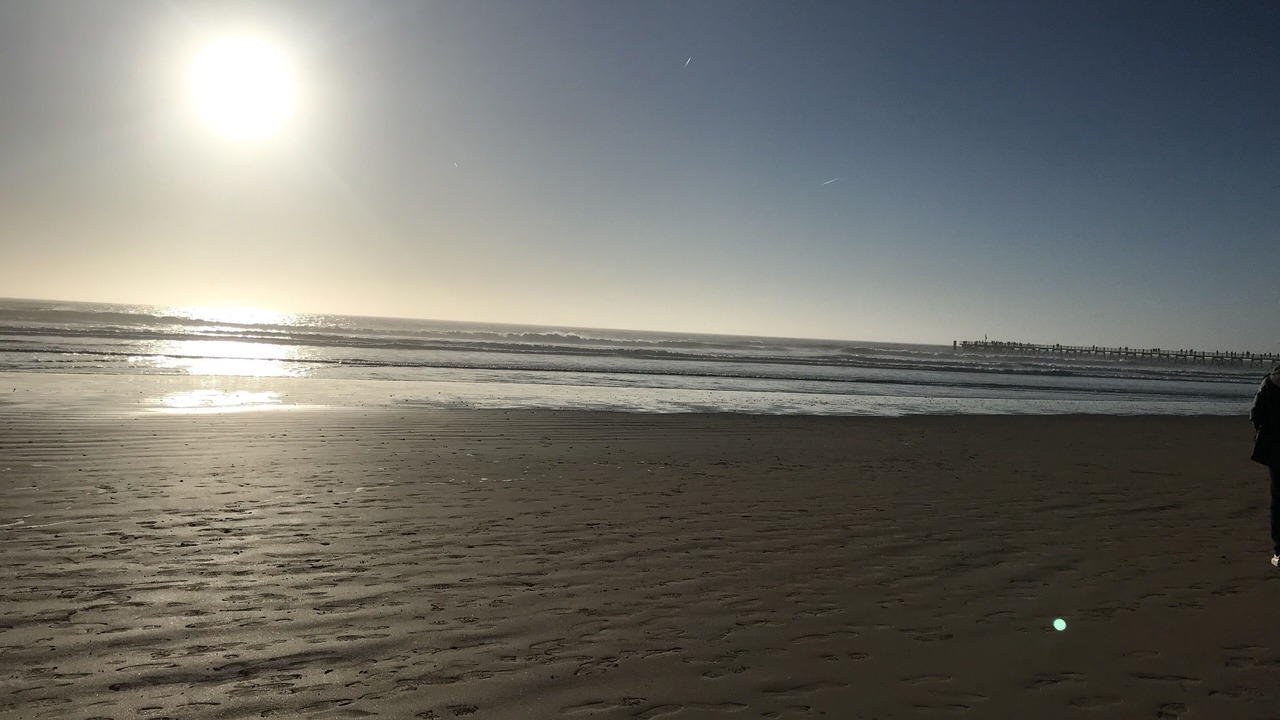 Photo of Others in Saint-Jean-de-Monts