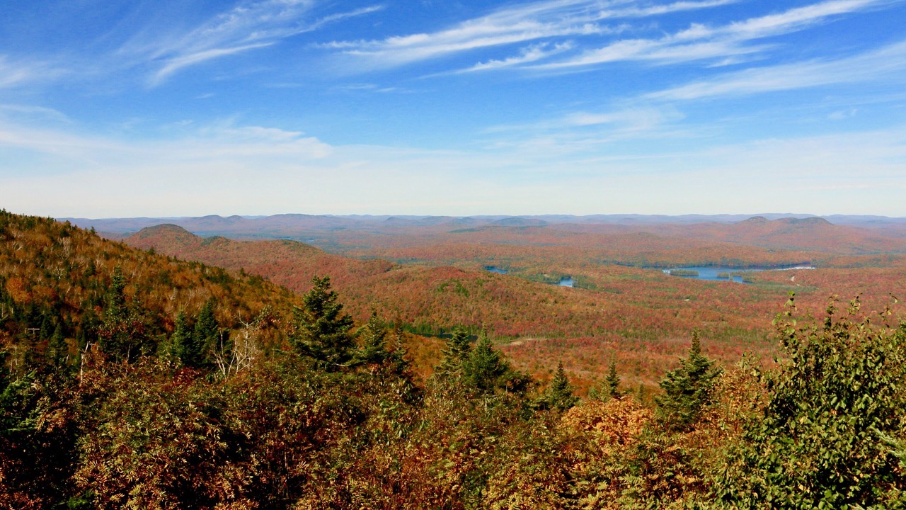 Photo of Others in Indian Lake