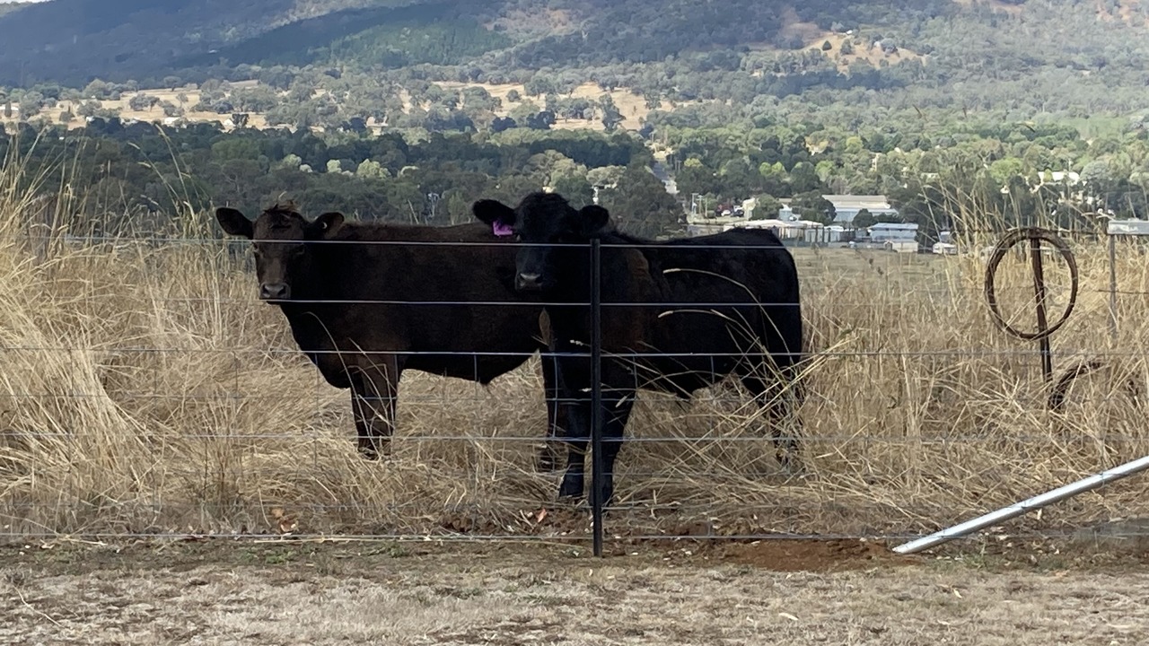 Photo of Outdoor in Mansfield