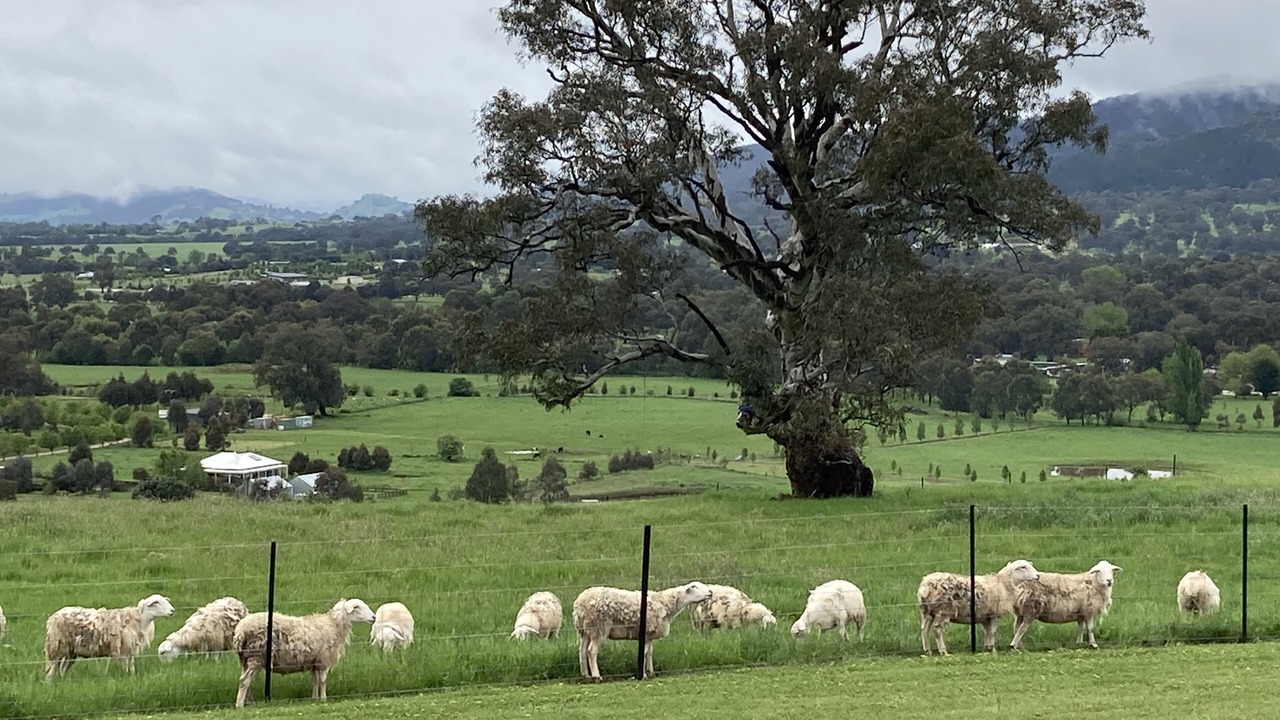 Photo of Outdoor in Mansfield