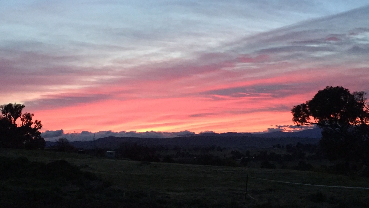 Photo of Others in Mansfield