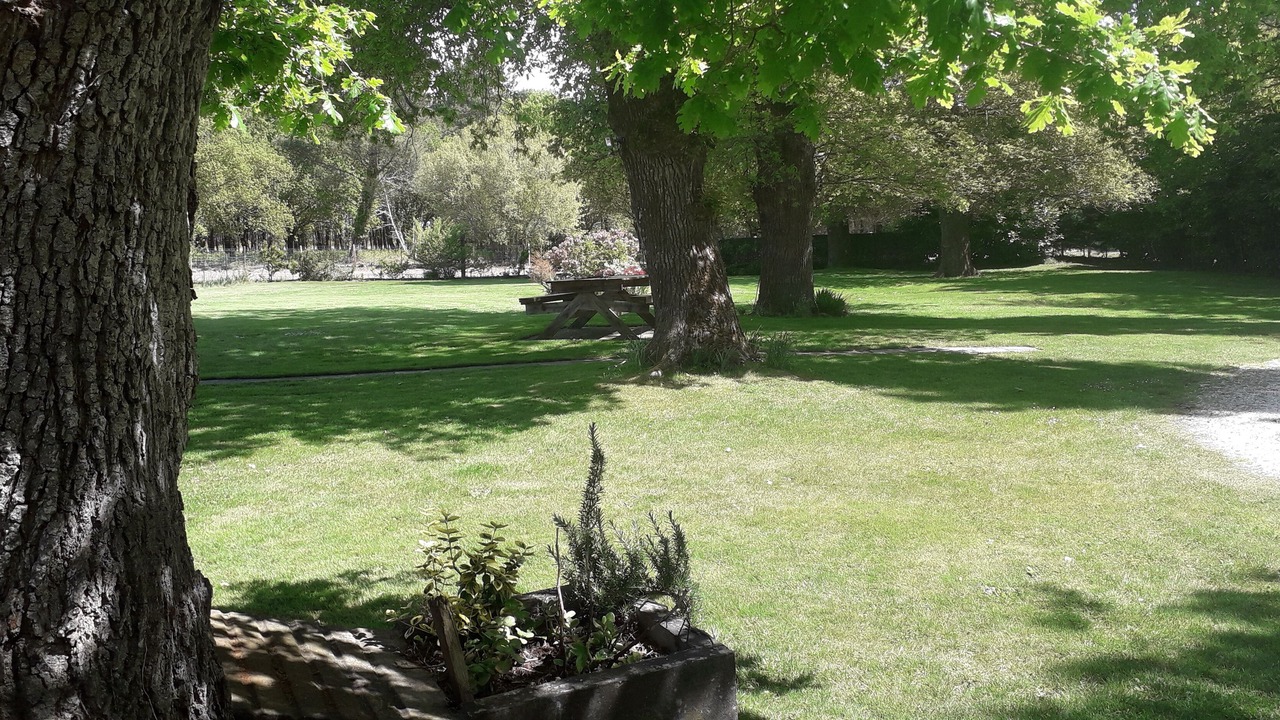 Photo of Outdoor in Saint-Julien-en-Born