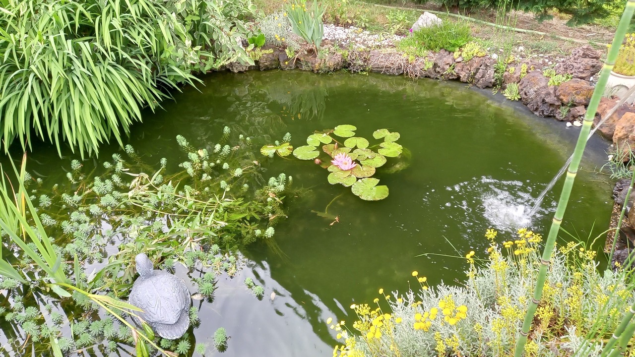 Photo of Outdoor in Saint-Julien-en-Born