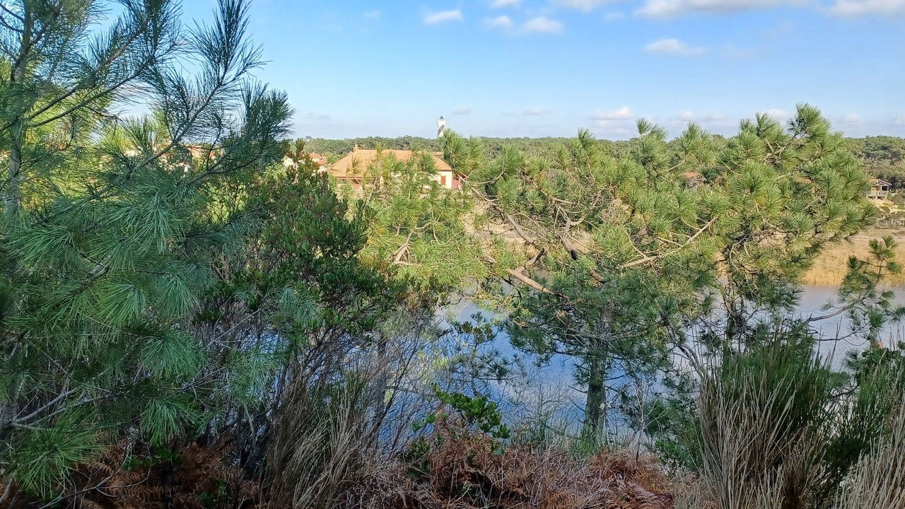 Photo of Outdoor in Saint-Julien-en-Born