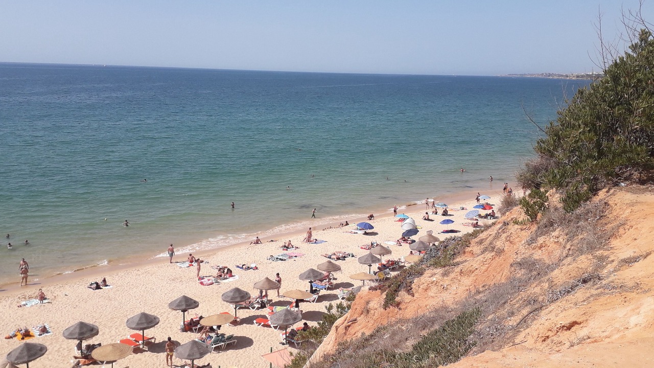 Photo of Others in Saint-Julien-en-Born