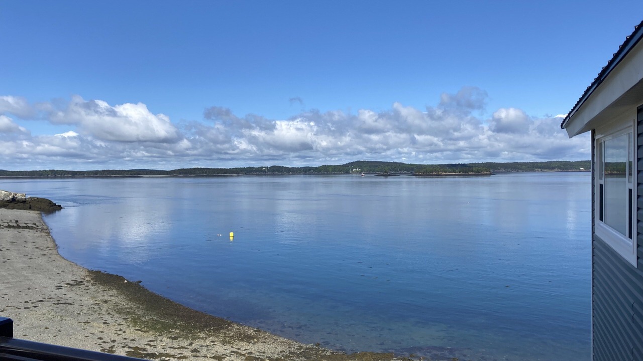 Photo of Others in Wilsons Beach