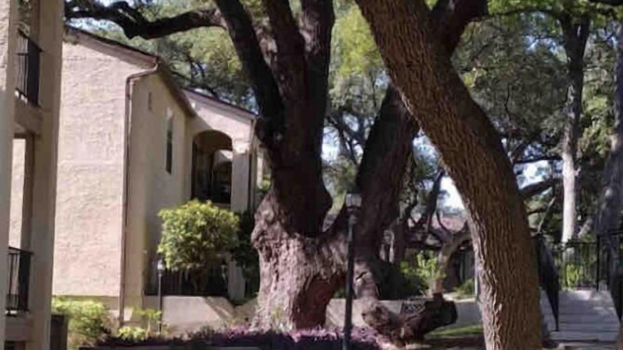 Photo of Outdoor in North San Antonio - SAT