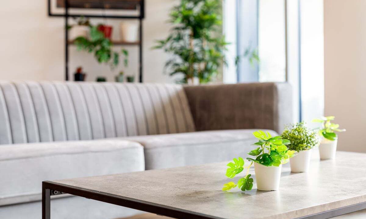 Photo of Livingroom in Turnham Green