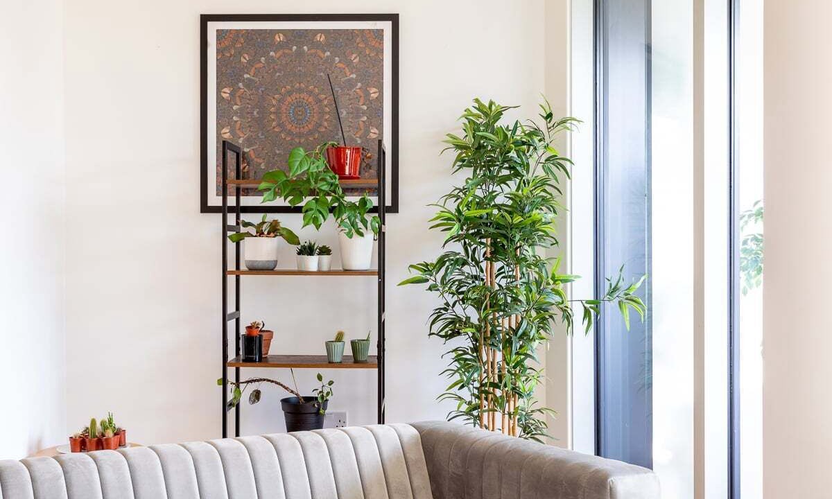 Photo of Others in Turnham Green