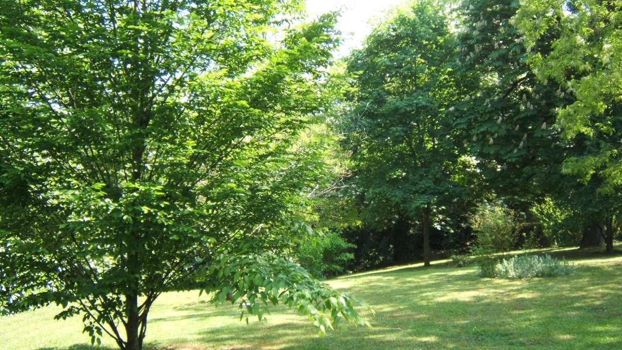 Photo of Others in Labruguiere
