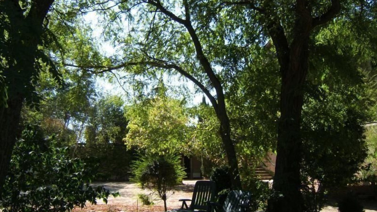 Photo of Others in Labruguiere