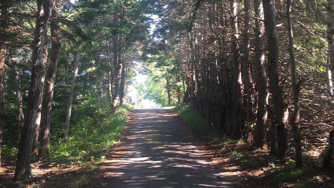 Photo of Outdoor in Stanhope
