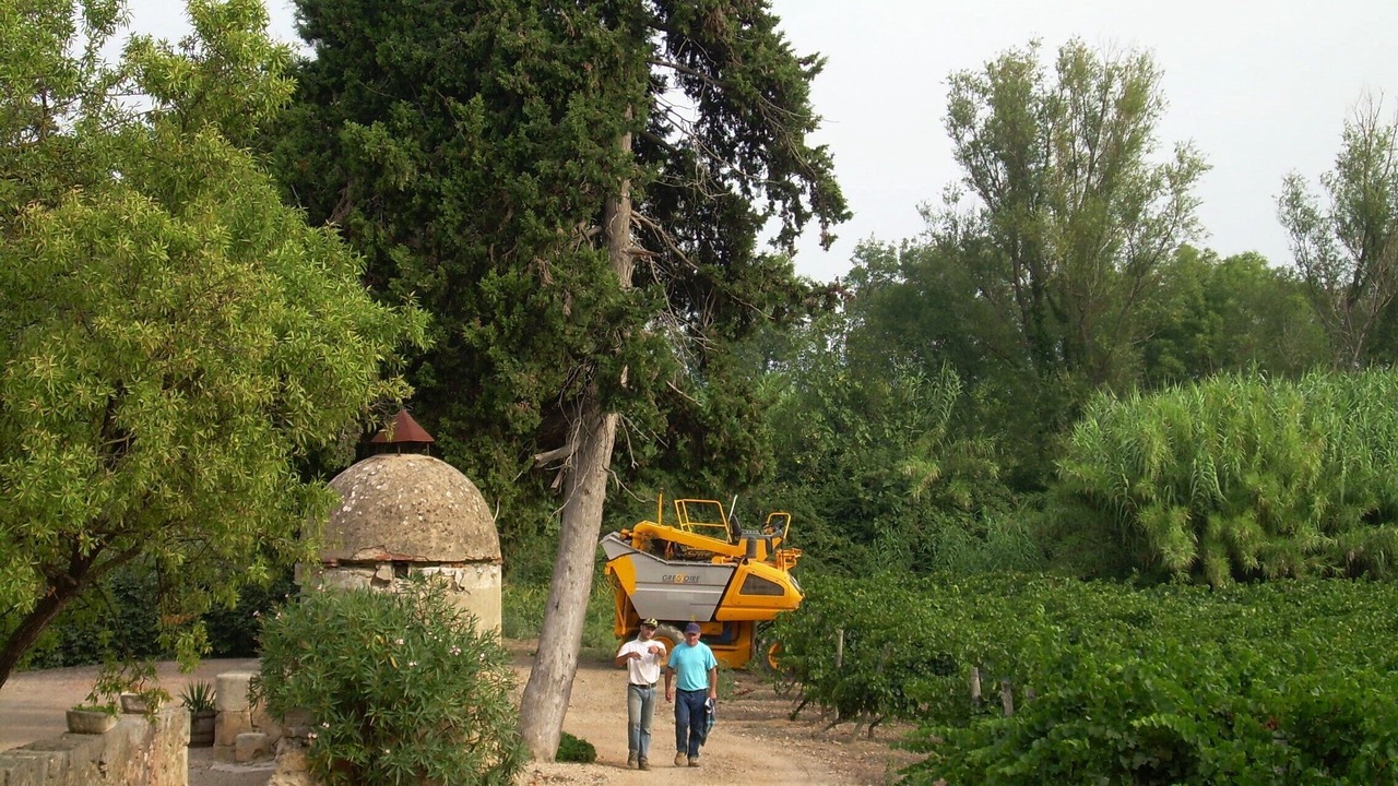 Photo of Outdoor in Narbonne
