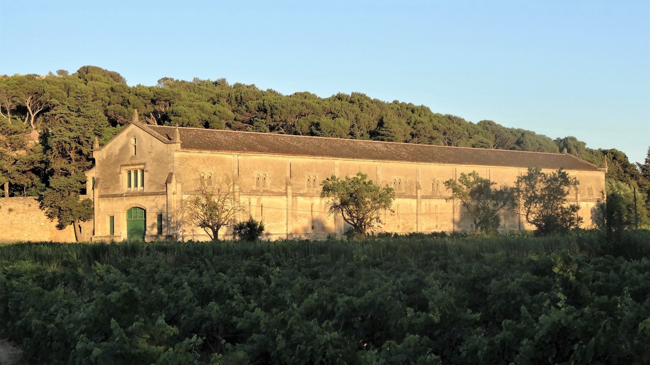 Photo of Outdoor in Narbonne