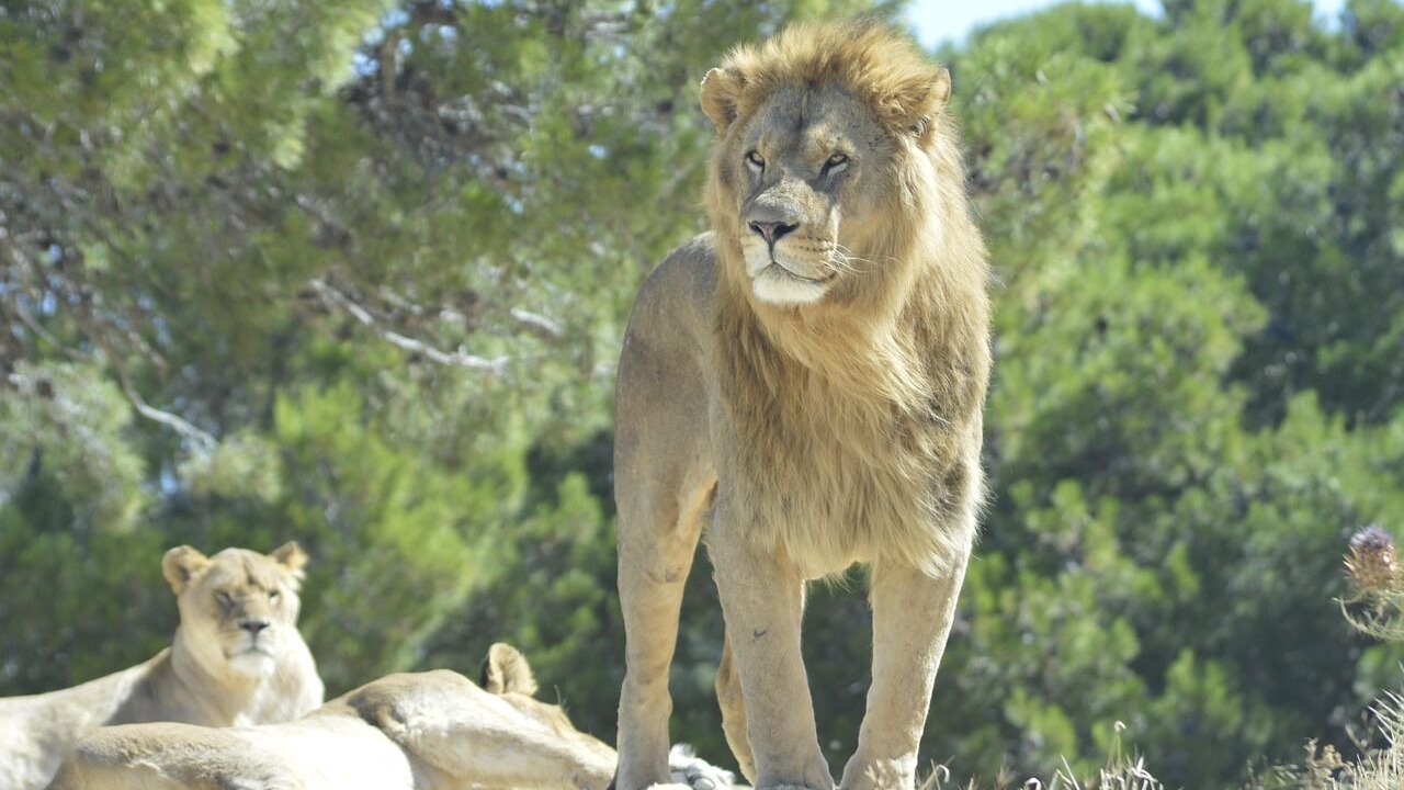 Photo of Others in Narbonne