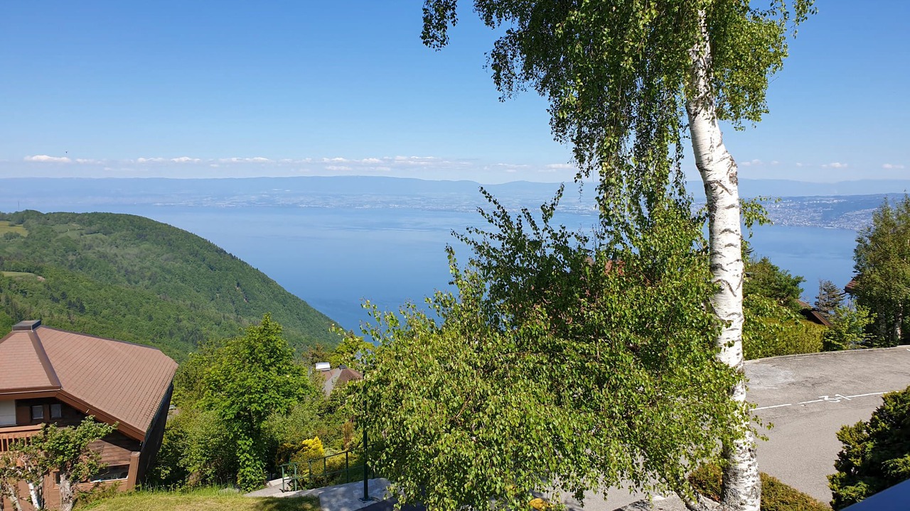 Photo of Outdoor in Thollon-les-Memises