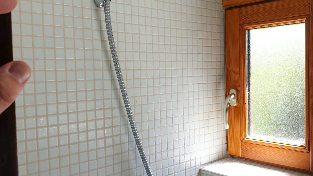 Photo of Bathroom in Thollon-les-Memises