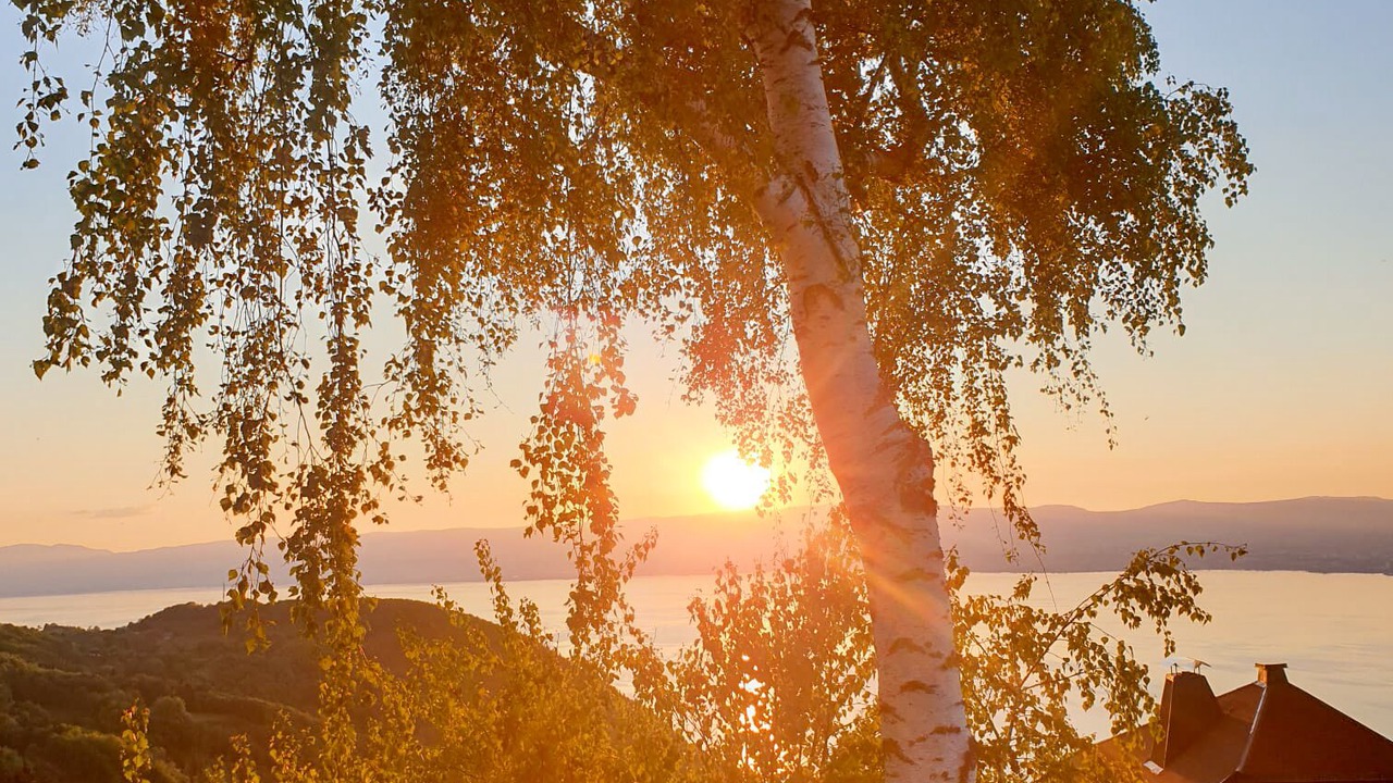 Photo of Others in Thollon-les-Memises