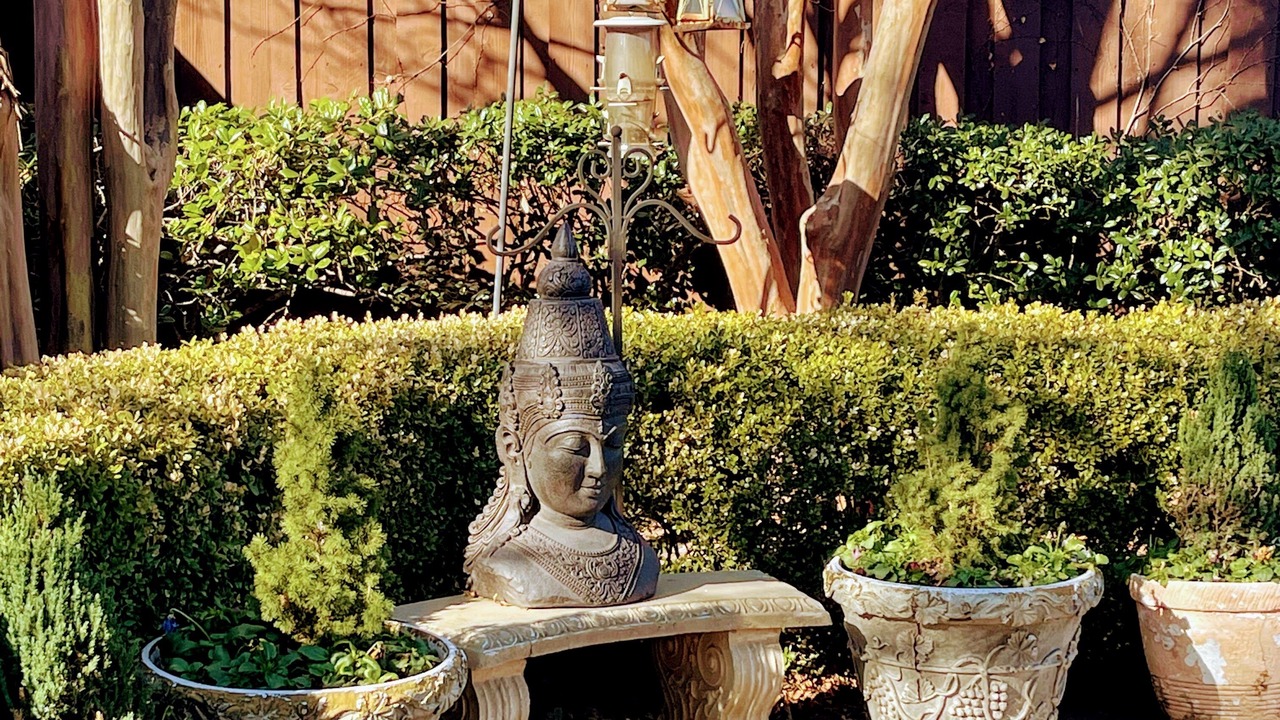Photo of Outdoor in Plano