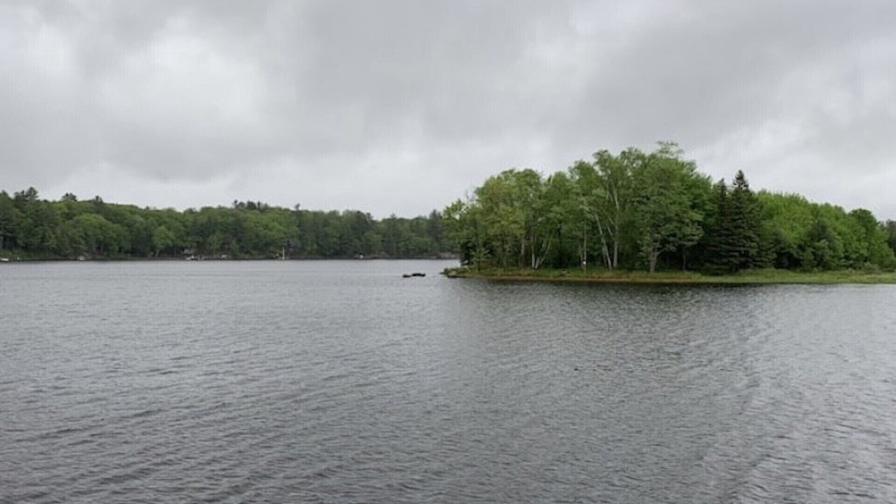Photo of Others in Muskoka Lakes
