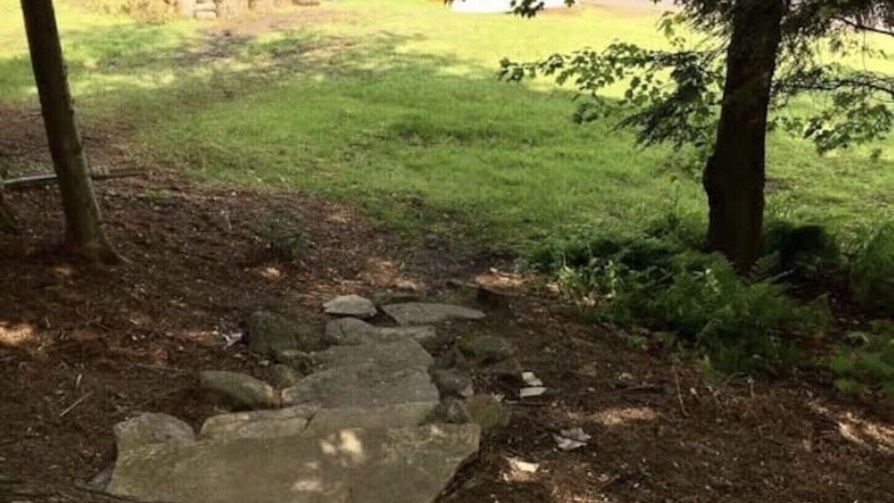 Photo of Outdoor in Muskoka Lakes